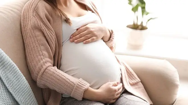 The importance of knowing every stage of life 1 Conception